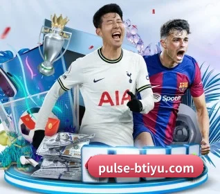 五个功能入口,赛程查询路径更短 - 多运动项目内容板块 - bsport